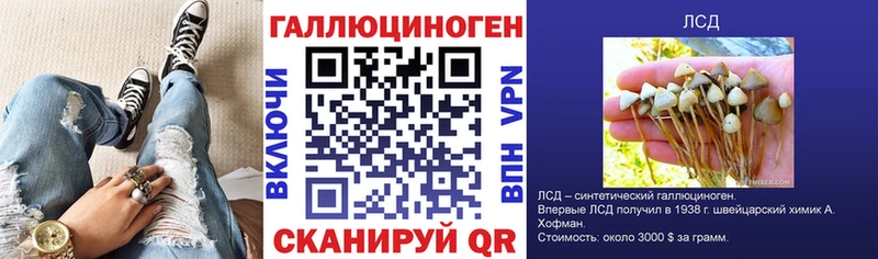 mega вход  купить закладку  Пучеж  Галлюциногенные грибы Psilocybe 